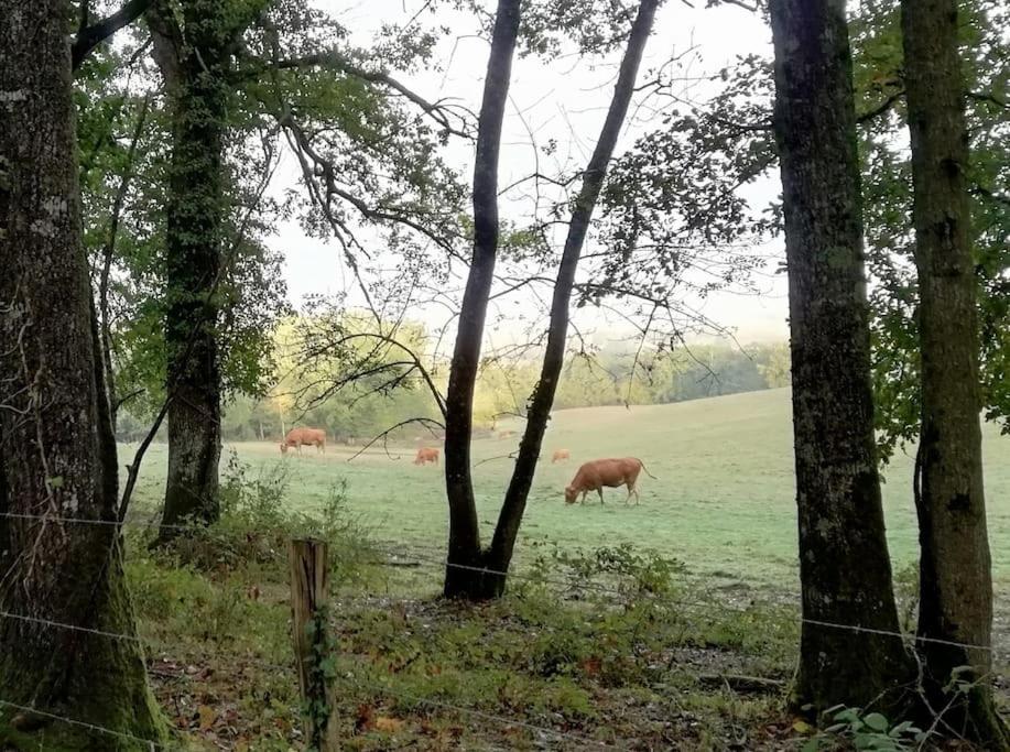 Gite Aux Bois D'En Temps Lunas  ภายนอก รูปภาพ
