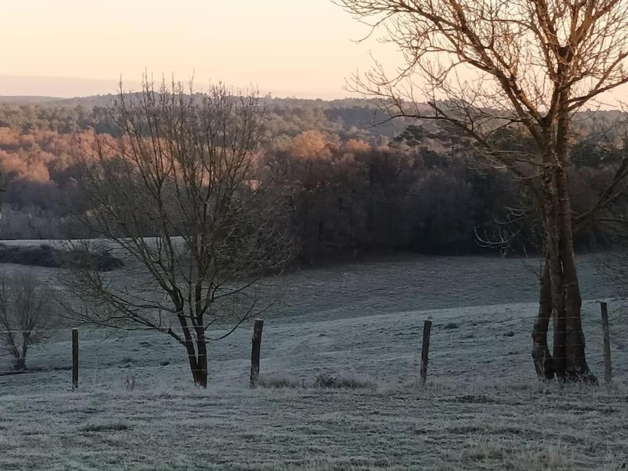 Gite Aux Bois D'En Temps Lunas  ภายนอก รูปภาพ